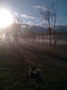 April 2012 Iphone 036