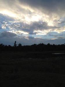 Judy's Iphone 9-9-12 114